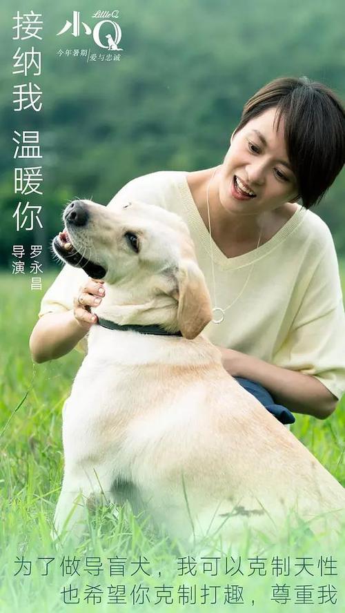 哪里能办苏必利尔湖州立大学文凭毕业证